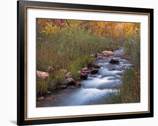 Autumn Color 3-Ken Bremer-Framed Giclee Print