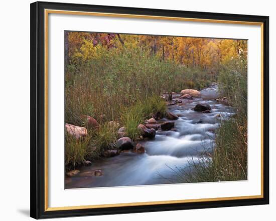 Autumn Color 3-Ken Bremer-Framed Giclee Print