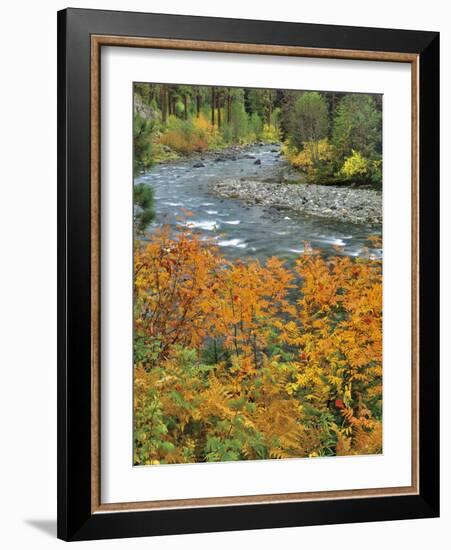 Autumn Color along Imnaha River-Steve Terrill-Framed Photographic Print