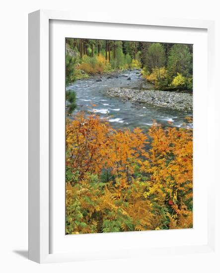 Autumn Color along Imnaha River-Steve Terrill-Framed Photographic Print