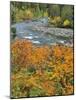 Autumn Color along Imnaha River-Steve Terrill-Mounted Photographic Print