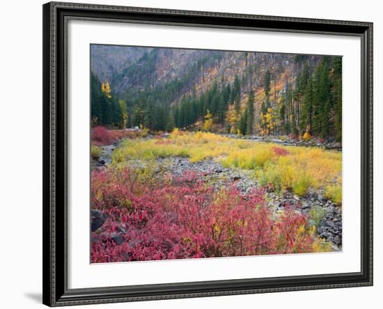 Autumn Color Along the Wenatchee River, Tumwater Canyon, Wenatchee National Forest, Washington, USA-Jamie & Judy Wild-Framed Photographic Print