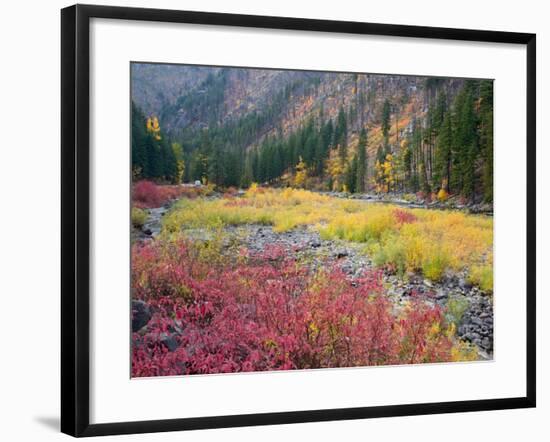 Autumn Color Along the Wenatchee River, Tumwater Canyon, Wenatchee National Forest, Washington, USA-Jamie & Judy Wild-Framed Photographic Print