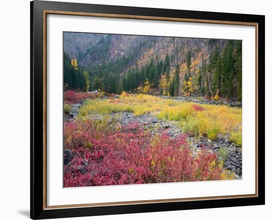 Autumn Color Along the Wenatchee River, Tumwater Canyon, Wenatchee National Forest, Washington, USA-Jamie & Judy Wild-Framed Photographic Print