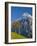 Autumn Color and Alpine Meadow, Wetterhorn and Grindelwald, Berner Oberland, Switzerland-Doug Pearson-Framed Photographic Print