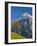 Autumn Color and Alpine Meadow, Wetterhorn and Grindelwald, Berner Oberland, Switzerland-Doug Pearson-Framed Photographic Print