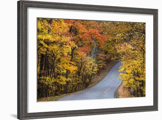 Autumn Color at Brown County State Park, Indiana, USA-Chuck Haney-Framed Photographic Print