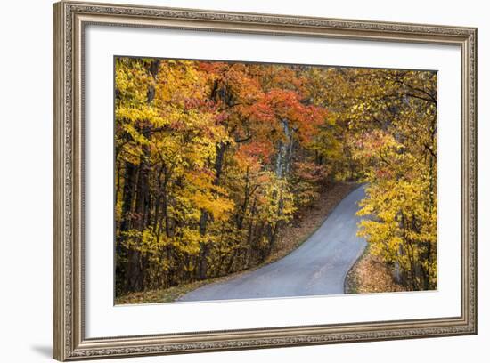 Autumn Color at Brown County State Park, Indiana, USA-Chuck Haney-Framed Photographic Print