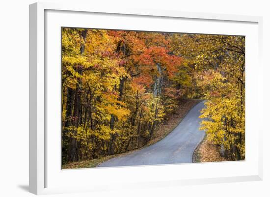 Autumn Color at Brown County State Park, Indiana, USA-Chuck Haney-Framed Photographic Print