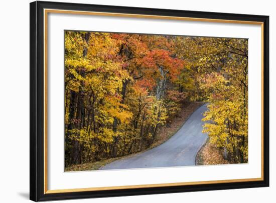 Autumn Color at Brown County State Park, Indiana, USA-Chuck Haney-Framed Photographic Print