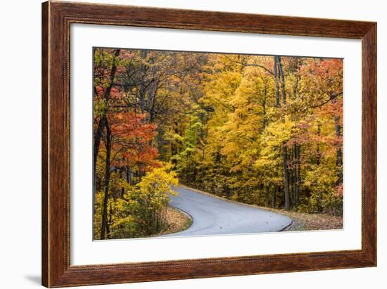 Autumn Color at Brown County State Park, Indiana, USA-Chuck Haney-Framed Photographic Print