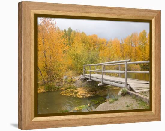 Autumn Color at Easton Ponds with Trail, Wenatchee National Forest, Washington, USA-Jamie & Judy Wild-Framed Premier Image Canvas