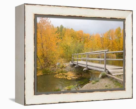 Autumn Color at Easton Ponds with Trail, Wenatchee National Forest, Washington, USA-Jamie & Judy Wild-Framed Premier Image Canvas