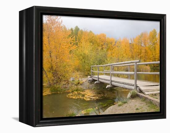 Autumn Color at Easton Ponds with Trail, Wenatchee National Forest, Washington, USA-Jamie & Judy Wild-Framed Premier Image Canvas