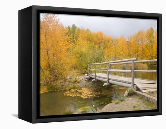 Autumn Color at Easton Ponds with Trail, Wenatchee National Forest, Washington, USA-Jamie & Judy Wild-Framed Premier Image Canvas
