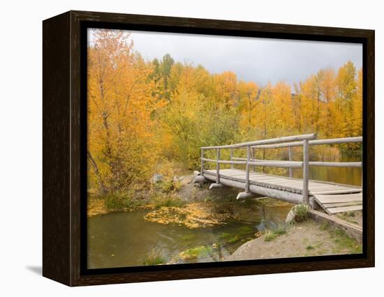 Autumn Color at Easton Ponds with Trail, Wenatchee National Forest, Washington, USA-Jamie & Judy Wild-Framed Premier Image Canvas