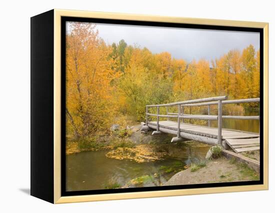 Autumn Color at Easton Ponds with Trail, Wenatchee National Forest, Washington, USA-Jamie & Judy Wild-Framed Premier Image Canvas