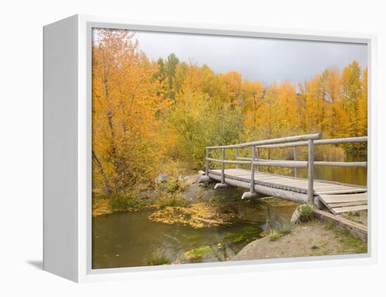 Autumn Color at Easton Ponds with Trail, Wenatchee National Forest, Washington, USA-Jamie & Judy Wild-Framed Premier Image Canvas