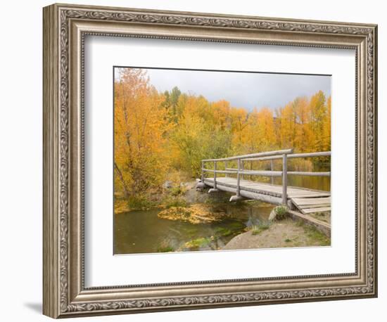 Autumn Color at Easton Ponds with Trail, Wenatchee National Forest, Washington, USA-Jamie & Judy Wild-Framed Photographic Print