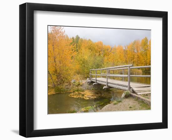 Autumn Color at Easton Ponds with Trail, Wenatchee National Forest, Washington, USA-Jamie & Judy Wild-Framed Photographic Print