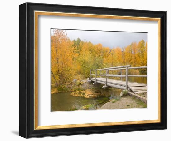 Autumn Color at Easton Ponds with Trail, Wenatchee National Forest, Washington, USA-Jamie & Judy Wild-Framed Photographic Print