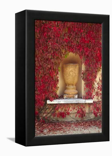 Autumn Color at the Italian Renaissance Garden, Hamilton, Waikato, North Island, New Zealand-David Wall-Framed Premier Image Canvas