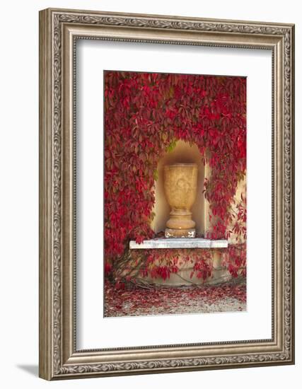 Autumn Color at the Italian Renaissance Garden, Hamilton, Waikato, North Island, New Zealand-David Wall-Framed Photographic Print