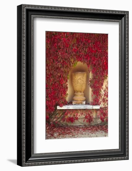 Autumn Color at the Italian Renaissance Garden, Hamilton, Waikato, North Island, New Zealand-David Wall-Framed Photographic Print