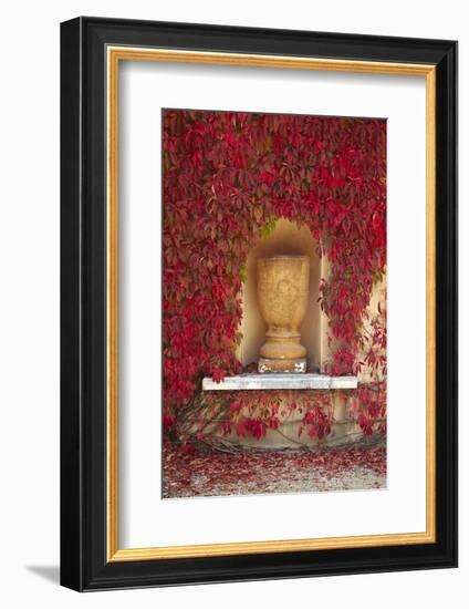 Autumn Color at the Italian Renaissance Garden, Hamilton, Waikato, North Island, New Zealand-David Wall-Framed Photographic Print