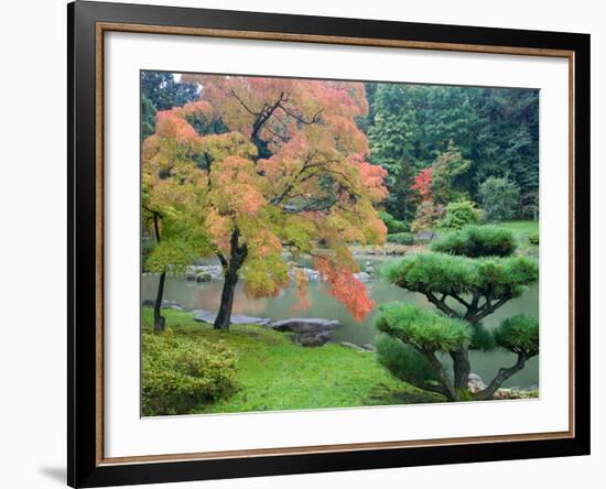 Autumn Color at the Japanese Garden, Washington Park Arboretum, Seattle, Washington, USA-Jamie & Judy Wild-Framed Photographic Print