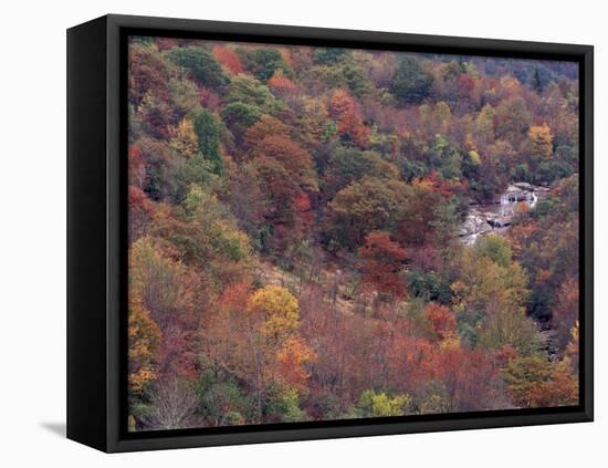 Autumn color in the Great Smoky Mountains National Park, Tennessee, USA-William Sutton-Framed Premier Image Canvas