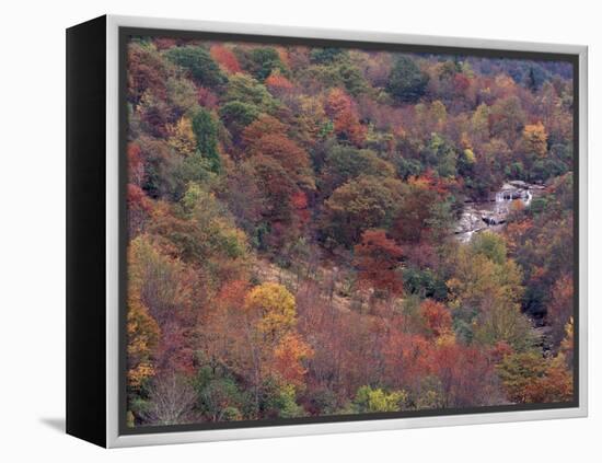 Autumn color in the Great Smoky Mountains National Park, Tennessee, USA-William Sutton-Framed Premier Image Canvas