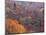Autumn color in the Great Smoky Mountains National Park, Tennessee, USA-William Sutton-Mounted Photographic Print