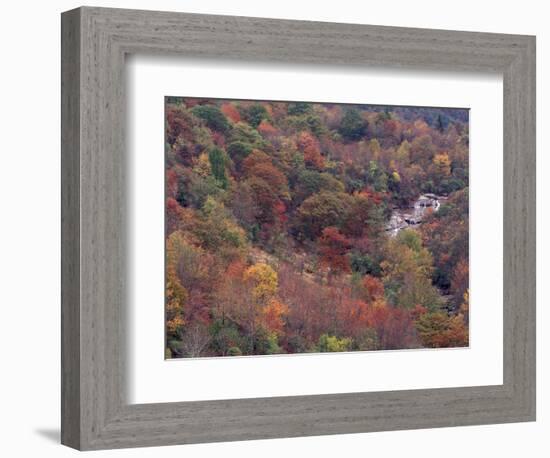 Autumn color in the Great Smoky Mountains National Park, Tennessee, USA-William Sutton-Framed Photographic Print