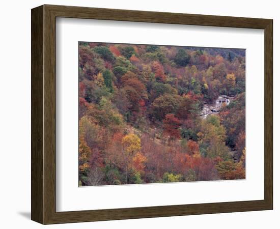 Autumn color in the Great Smoky Mountains National Park, Tennessee, USA-William Sutton-Framed Photographic Print