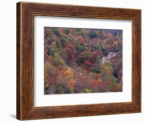 Autumn color in the Great Smoky Mountains National Park, Tennessee, USA-William Sutton-Framed Photographic Print