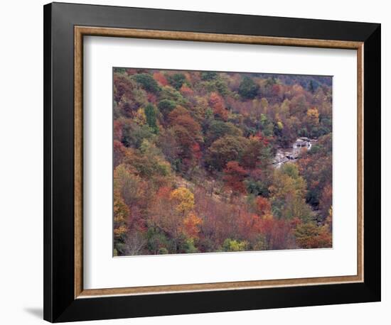 Autumn color in the Great Smoky Mountains National Park, Tennessee, USA-William Sutton-Framed Photographic Print