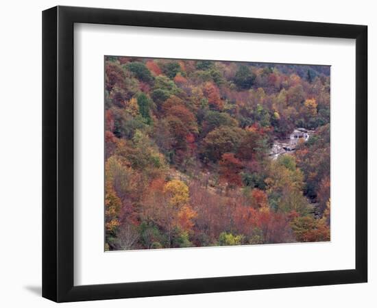 Autumn color in the Great Smoky Mountains National Park, Tennessee, USA-William Sutton-Framed Photographic Print