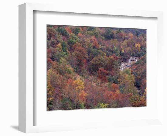 Autumn color in the Great Smoky Mountains National Park, Tennessee, USA-William Sutton-Framed Photographic Print