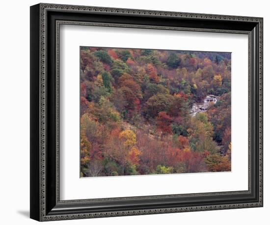 Autumn color in the Great Smoky Mountains National Park, Tennessee, USA-William Sutton-Framed Photographic Print