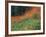 Autumn Color in the Mt. Rainier National Park, Washington, USA-William Sutton-Framed Photographic Print