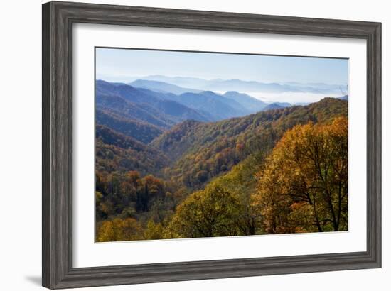 Autumn color in the valley, Great Smoky Mountain National Park, Tennessee-Gayle Harper-Framed Photographic Print