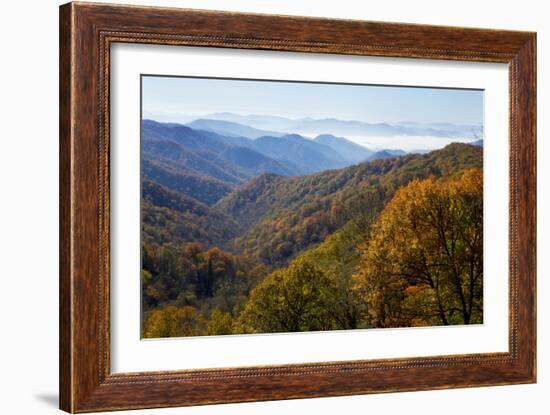 Autumn color in the valley, Great Smoky Mountain National Park, Tennessee-Gayle Harper-Framed Photographic Print