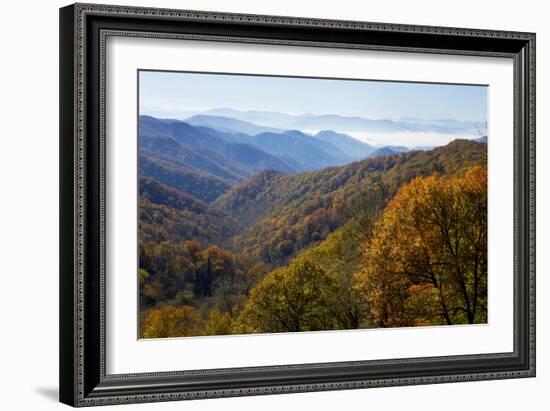 Autumn color in the valley, Great Smoky Mountain National Park, Tennessee-Gayle Harper-Framed Photographic Print