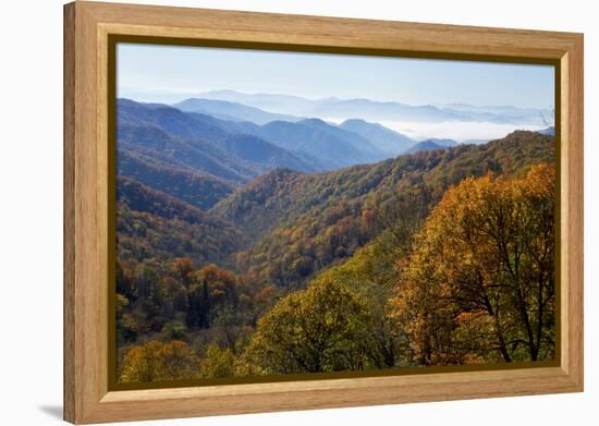 Autumn color in the valley, Great Smoky Mountain National Park, Tennessee-Gayle Harper-Framed Premier Image Canvas