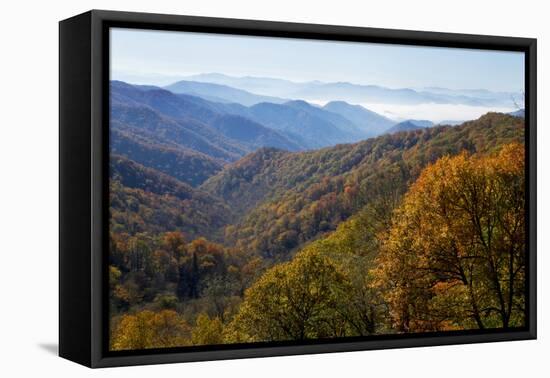 Autumn color in the valley, Great Smoky Mountain National Park, Tennessee-Gayle Harper-Framed Premier Image Canvas