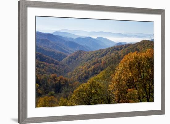 Autumn color in the valley, Great Smoky Mountain National Park, Tennessee-Gayle Harper-Framed Premium Photographic Print