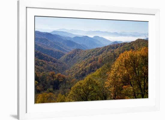 Autumn color in the valley, Great Smoky Mountain National Park, Tennessee-Gayle Harper-Framed Premium Photographic Print