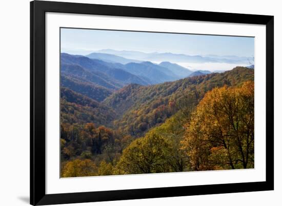 Autumn color in the valley, Great Smoky Mountain National Park, Tennessee-Gayle Harper-Framed Premium Photographic Print