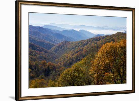 Autumn color in the valley, Great Smoky Mountain National Park, Tennessee-Gayle Harper-Framed Premium Photographic Print